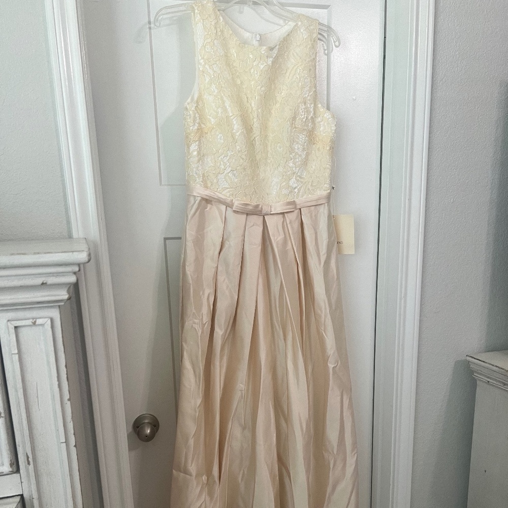 Mother of the Groom Dress A-Line Empire Elegant Wedding Guest Form Evening Dress